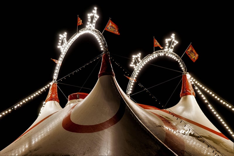 Circus Acts